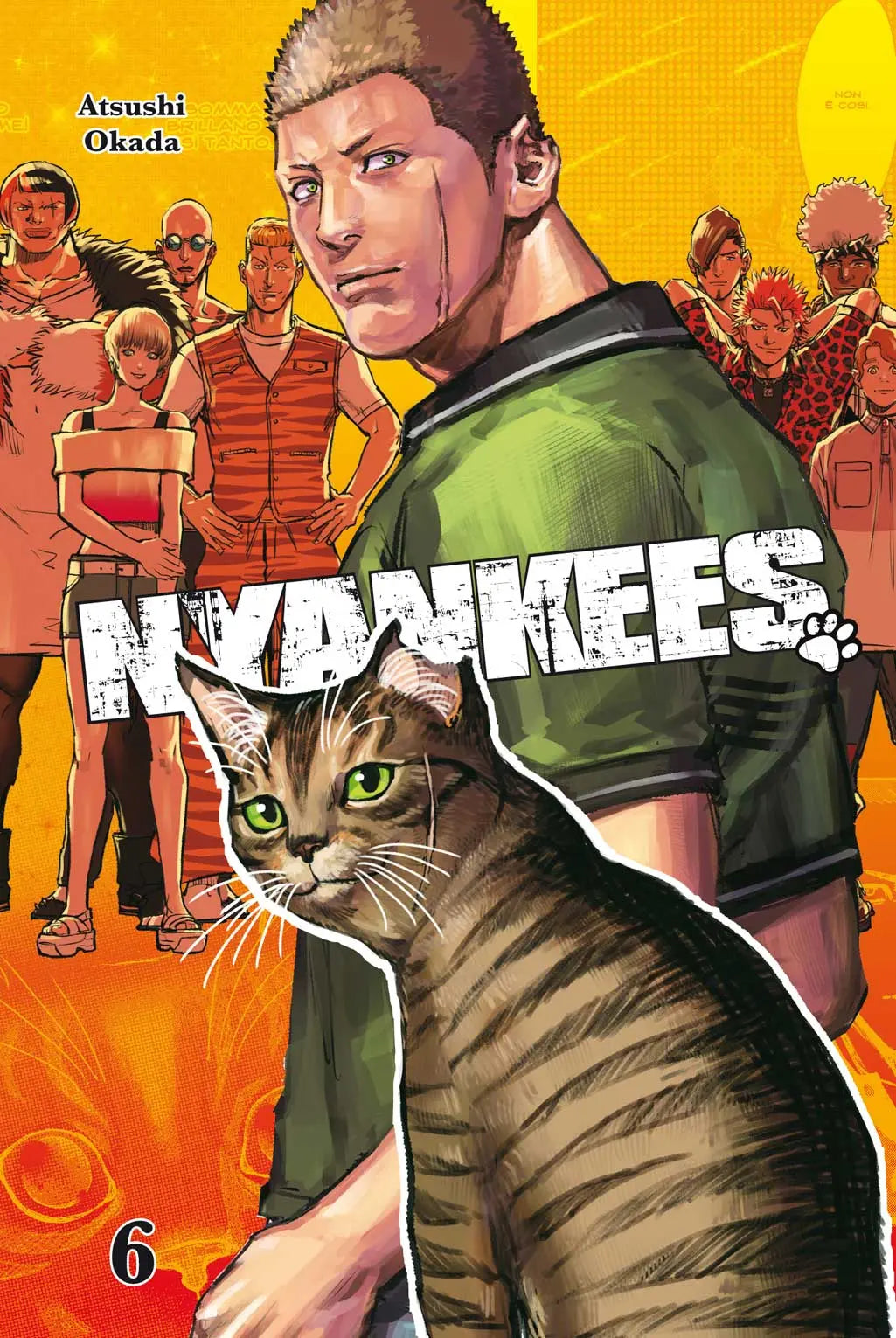 Nyankees 6 - Flashbook - Italiano