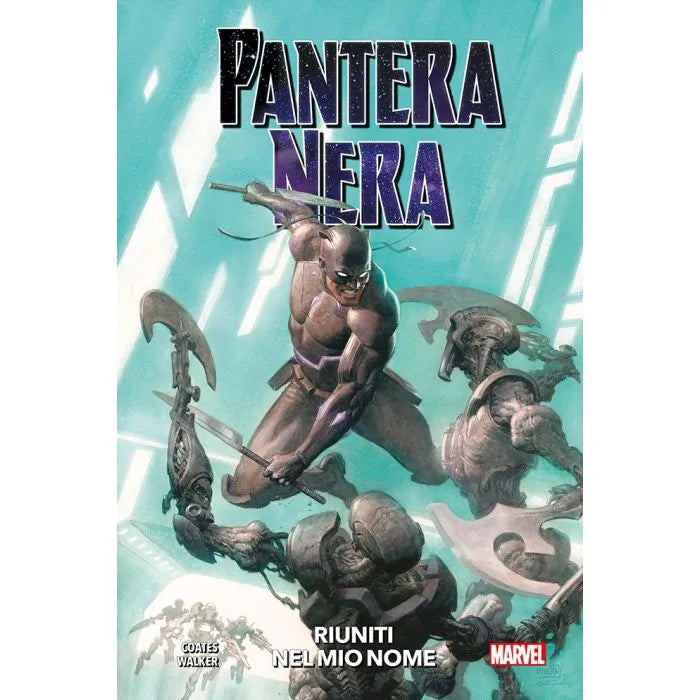 Pantera Nera 7 Riuniti nel mio nome