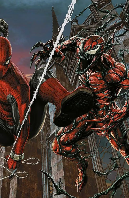 Amazing Spider-Man - Divisi 2 - Variant Amazing Visions Lee Bermejo - L'Uomo Ragno 895 - Panini Comics - Italiano